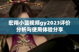 宏翔小蓝视频gy2023评价分析与使用体验分享