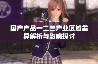 国产产品一二三产业区域差异解析与影响探讨