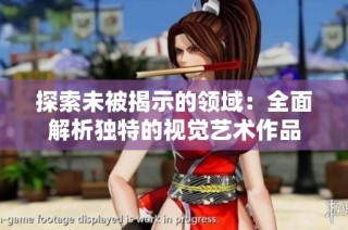 探索未被揭示的领域：全面解析独特的视觉艺术作品
