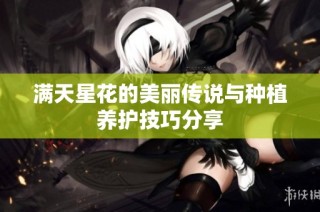满天星花的美丽传说与种植养护技巧分享