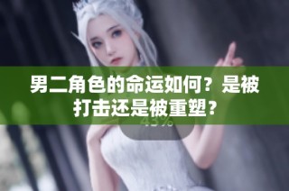 男二角色的命运如何？是被打击还是被重塑？
