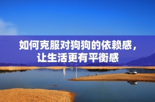 如何克服对狗狗的依赖感，让生活更有平衡感