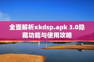 全面解析xkdsp.apk 3.0隐藏功能与使用攻略