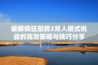 破解疯狂厨房2双人模式挑战的高效策略与技巧分享