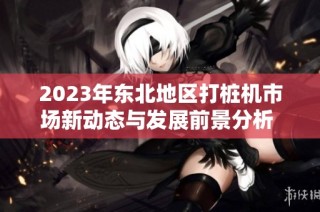 2023年东北地区打桩机市场新动态与发展前景分析  