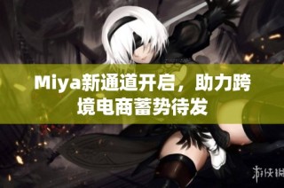 Miya新通道开启，助力跨境电商蓄势待发