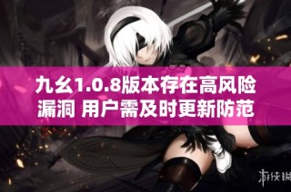 九幺1.0.8版本存在高风险漏洞 用户需及时更新防范风险
