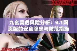 九幺高危风险分析：9.1网页版的安全隐患与防范措施