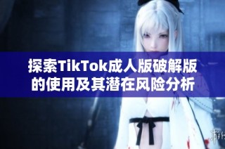 探索TikTok成人版破解版的使用及其潜在风险分析