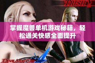 掌握魔兽单机游戏秘籍，轻松通关快感全面提升