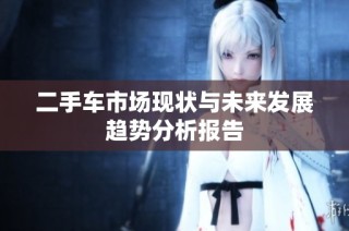 二手车市场现状与未来发展趋势分析报告
