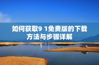 如何获取9 1免费版的下载方法与步骤详解