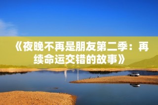 《夜晚不再是朋友第二季：再续命运交错的故事》