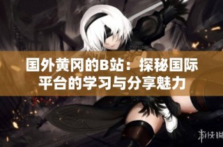 国外黄冈的B站：探秘国际平台的学习与分享魅力