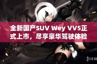 全新国产SUV Wey VV5正式上市，尽享豪华驾驶体验！