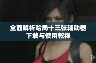全面解析哈局十三张辅助器下载与使用教程