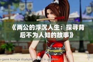 《两公的浮沉人生：探寻背后不为人知的故事》