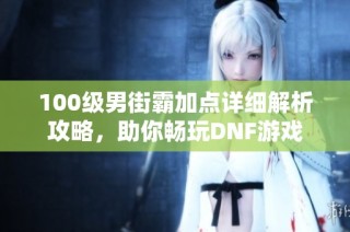 100级男街霸加点详细解析攻略，助你畅玩DNF游戏