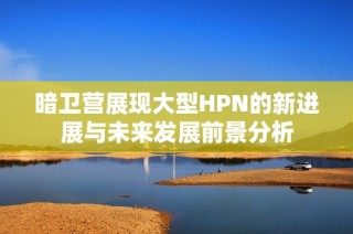 暗卫营展现大型HPN的新进展与未来发展前景分析