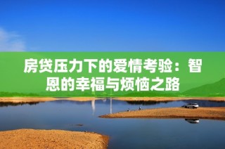 房贷压力下的爱情考验：智恩的幸福与烦恼之路