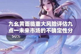 九幺黄面临重大风险评估九点一未来市场的不确定性分析