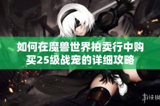 如何在魔兽世界拍卖行中购买25级战宠的详细攻略