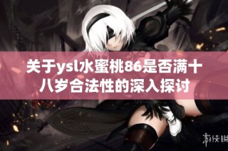 关于ysl水蜜桃86是否满十八岁合法性的深入探讨