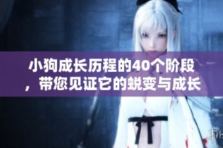 小狗成长历程的40个阶段，带您见证它的蜕变与成长