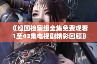 《巡回检察组全集免费观看 1至43集电视剧精彩回顾》