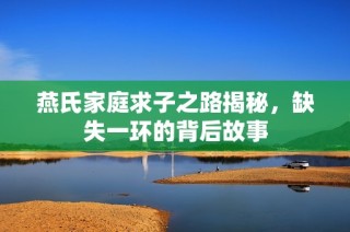 燕氏家庭求子之路揭秘，缺失一环的背后故事