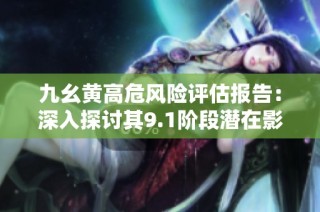九幺黄高危风险评估报告：深入探讨其9.1阶段潜在影响