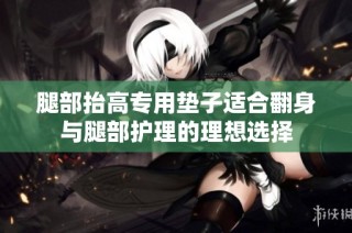 腿部抬高专用垫子适合翻身与腿部护理的理想选择