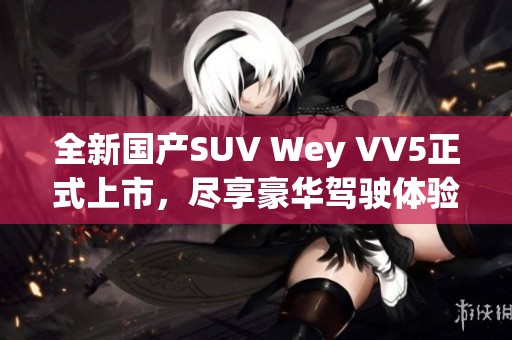 全新国产SUV Wey VV5正式上市，尽享豪华驾驶体验！