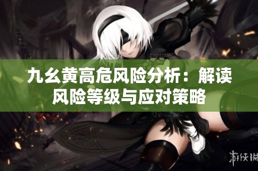 九幺黄高危风险分析：解读风险等级与应对策略