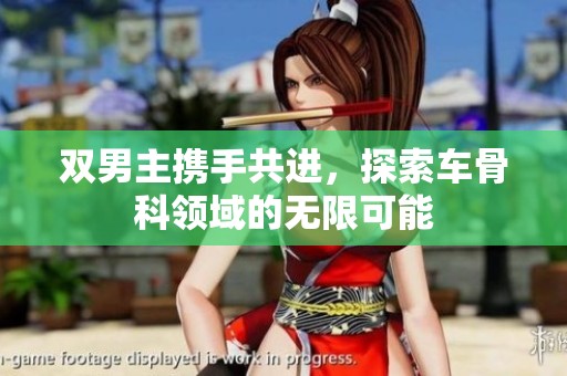 双男主携手共进，探索车骨科领域的无限可能