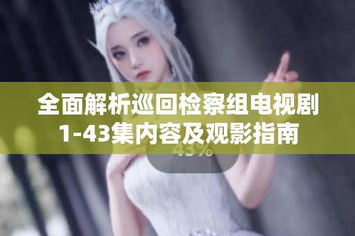 全面解析巡回检察组电视剧1-43集内容及观影指南