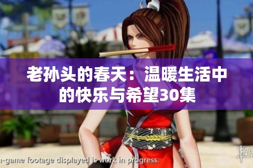 老孙头的春天：温暖生活中的快乐与希望30集