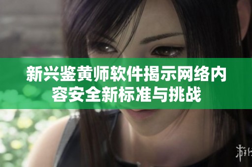 新兴鉴黄师软件揭示网络内容安全新标准与挑战
