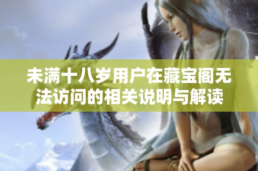 未满十八岁用户在藏宝阁无法访问的相关说明与解读