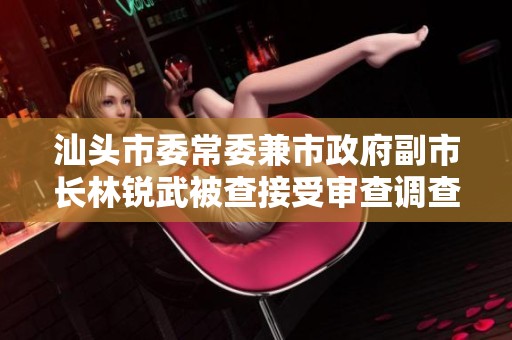 汕头市委常委兼市政府副市长林锐武被查接受审查调查