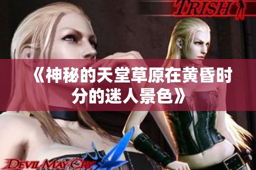 《神秘的天堂草原在黄昏时分的迷人景色》