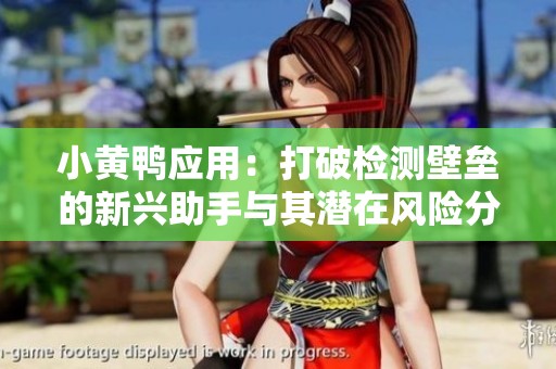 小黄鸭应用：打破检测壁垒的新兴助手与其潜在风险分析