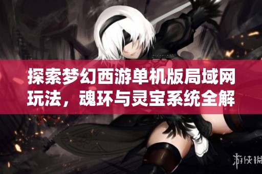 探索梦幻西游单机版局域网玩法，魂环与灵宝系统全解析