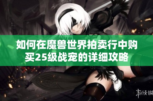 如何在魔兽世界拍卖行中购买25级战宠的详细攻略