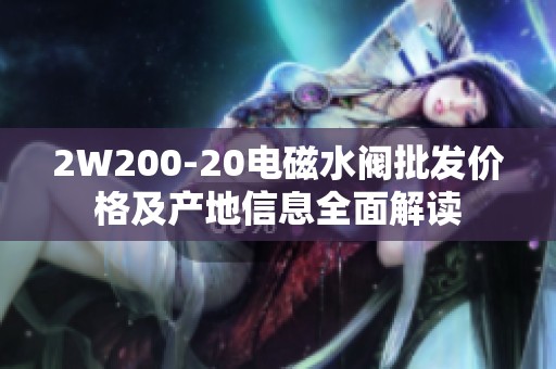 2W200-20电磁水阀批发价格及产地信息全面解读