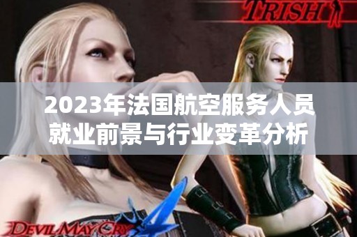 2023年法国航空服务人员就业前景与行业变革分析
