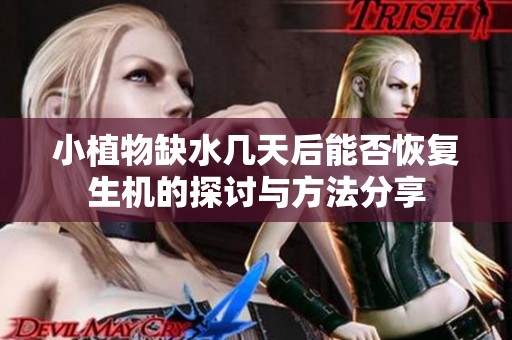 小植物缺水几天后能否恢复生机的探讨与方法分享