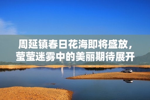周延镇春日花海即将盛放，莹莹迷雾中的美丽期待展开