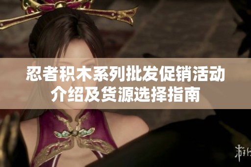 忍者积木系列批发促销活动介绍及货源选择指南