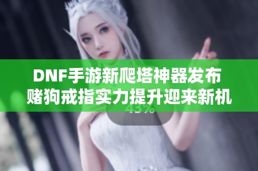 DNF手游新爬塔神器发布 赌狗戒指实力提升迎来新机遇